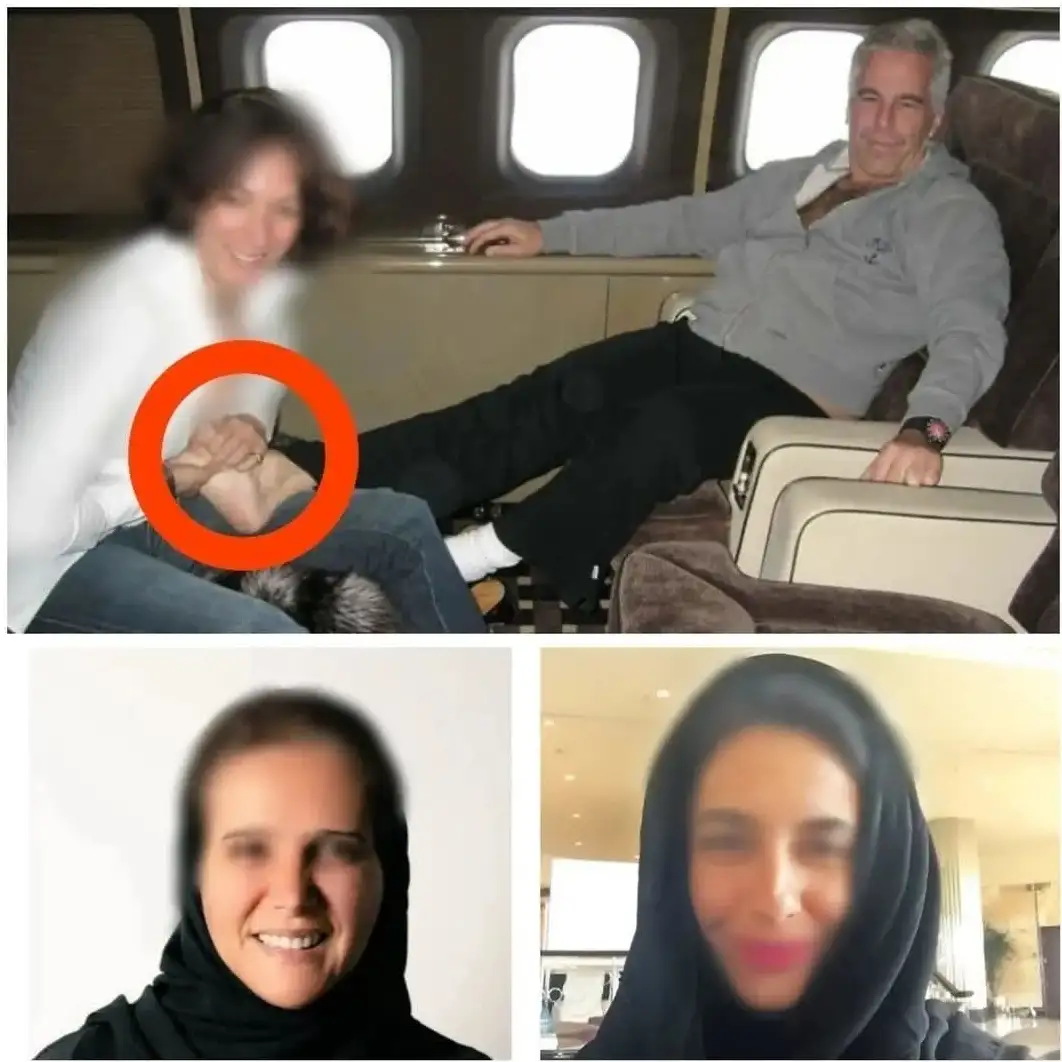   ارشيفية