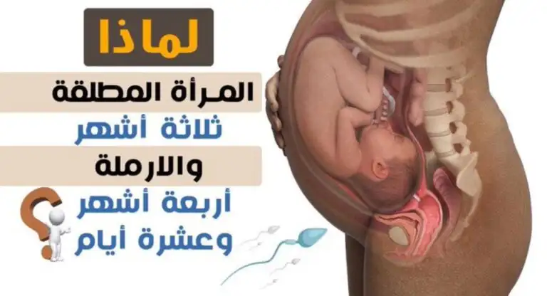 ارشيفية 