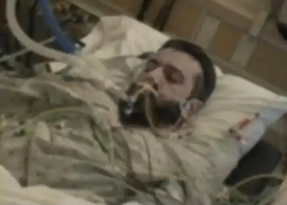 ارشيفية 
