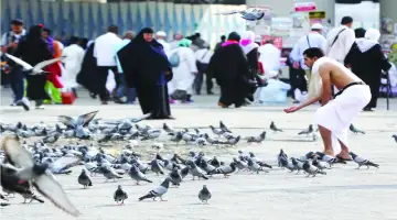 سر عدم سقوط روث الحمام في الحرم المكي.. لماذا لا تحلق الطائرات ف