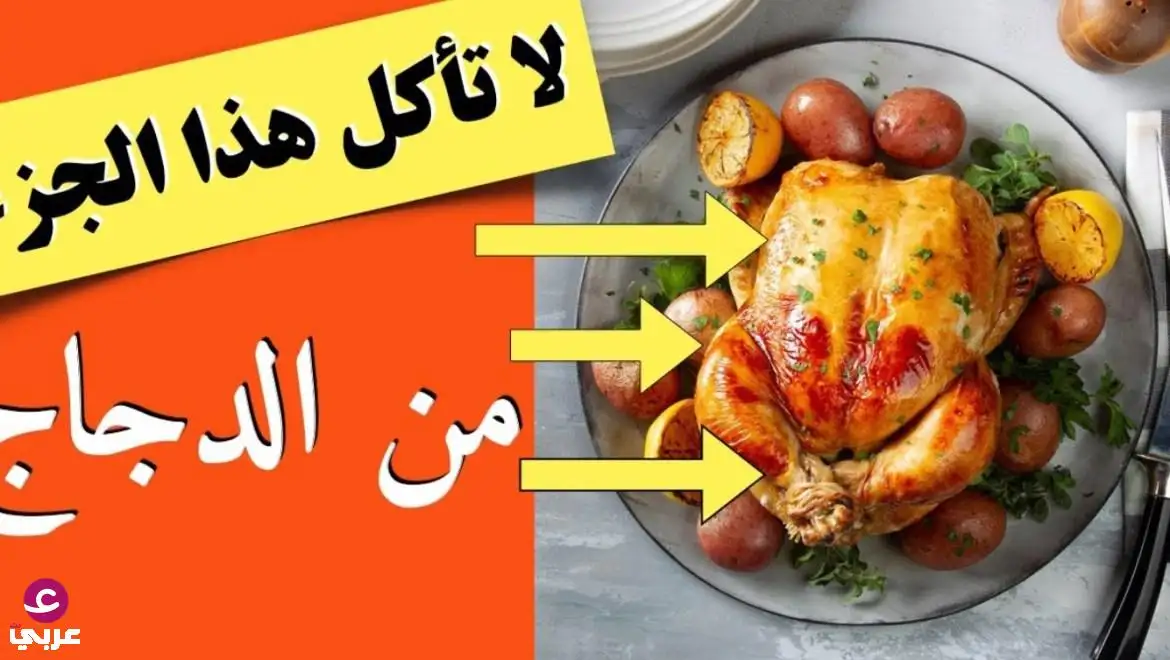 الدجاج