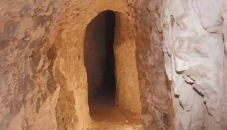   ارشيفية