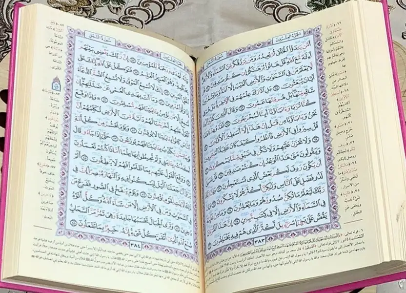 ارشيفية
