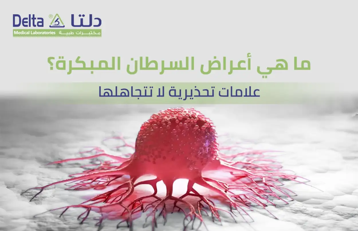 ارشيفية