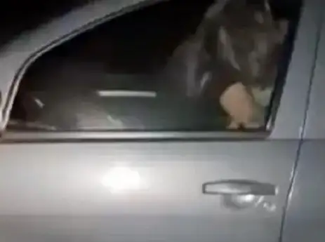 ارشيفية. 