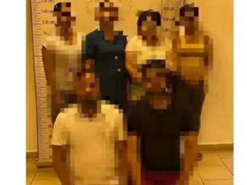 ارشيفية