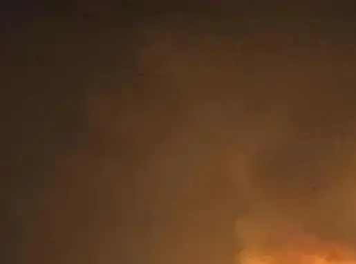 ارشيفية.     