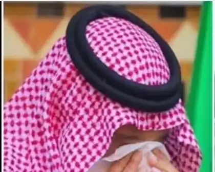 ارشيفية
