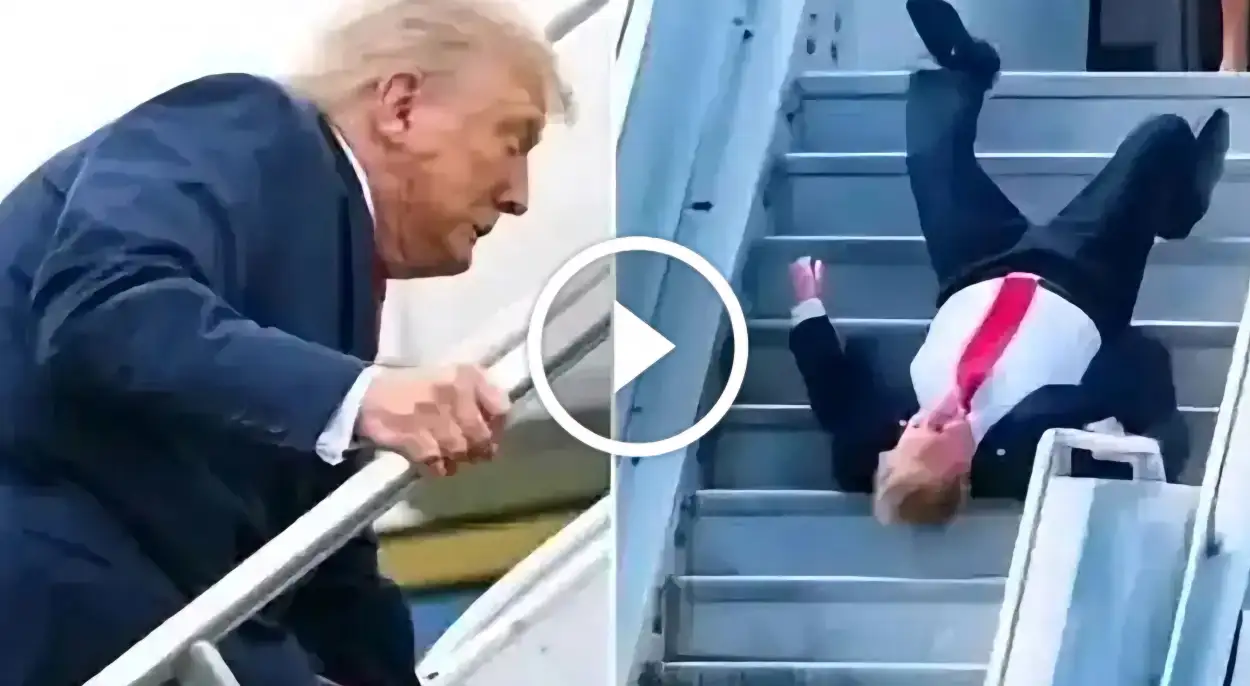 ارشيفية