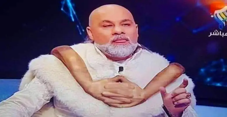 ارشيفية