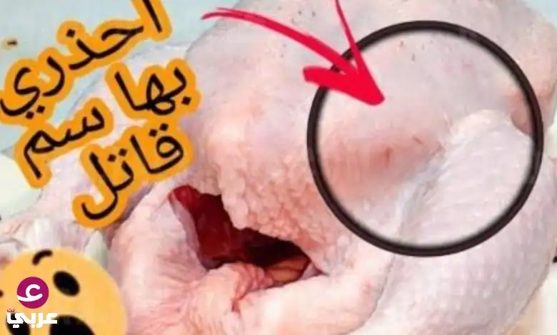 أخطر من سـ،،،ـم الأفعى… هذا الجزء من الدجاج كارثة طبية يسبب الوف