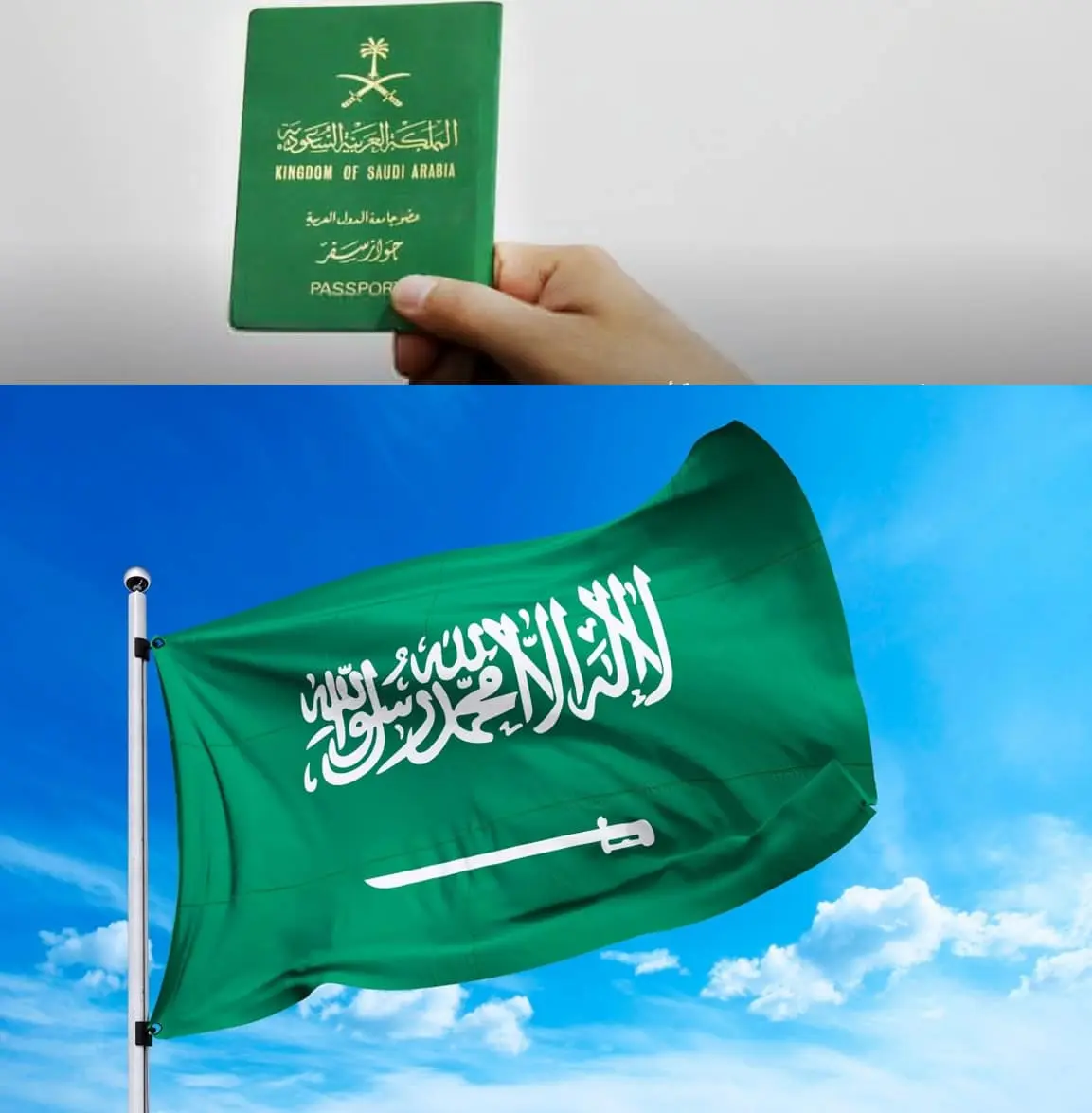 ارشيفية