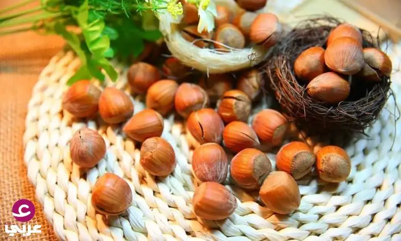 لا تُهمل عقلك… أنت في خطر النسيان! تناول هذه المكسرات يومياً لتع