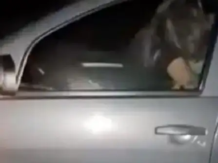 ارشيفية.     