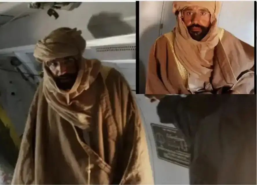 أرشيفة 