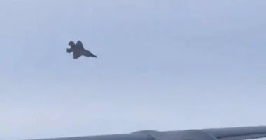 ارشيفية