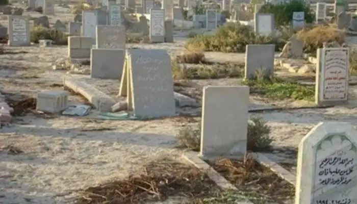 ارشيفية