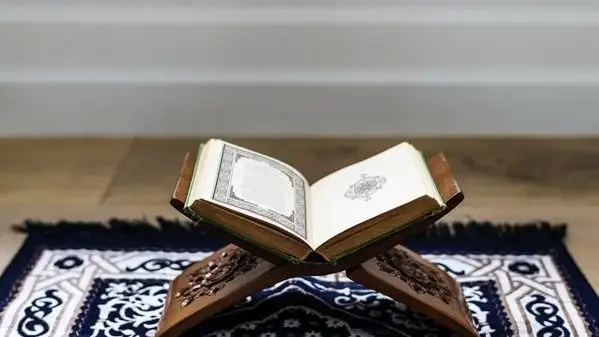 ارشيفية