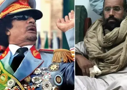 أرشيفة 