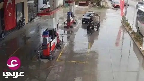 وفاء الحيوانات